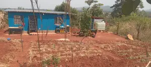 50×100 Plot for Sale.Ideal for Farming and Livestock Keeping. At Kagio