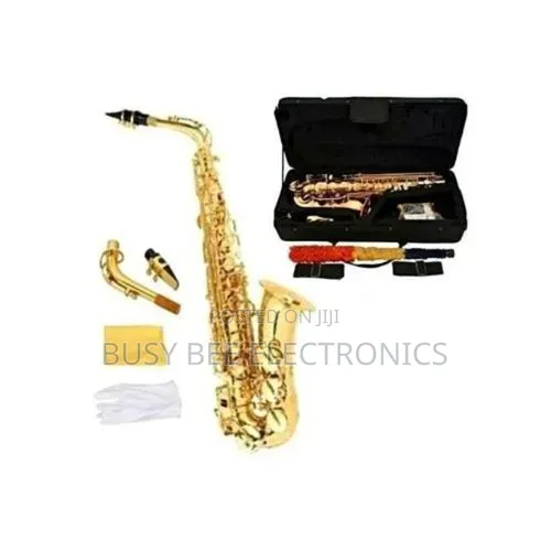 Yamaha Professional Alto Saxophone With Accessories - Gold
