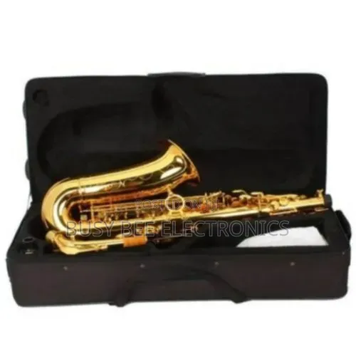 Yamaha Professional Alto Saxophone With Accessories - Gold