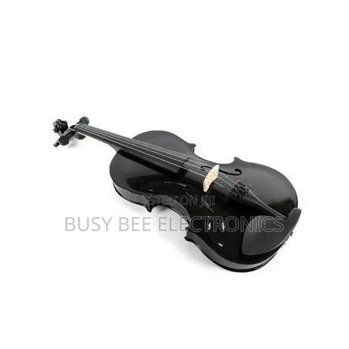 Black 4/4 Violin With Extra Complete Set String - main view
