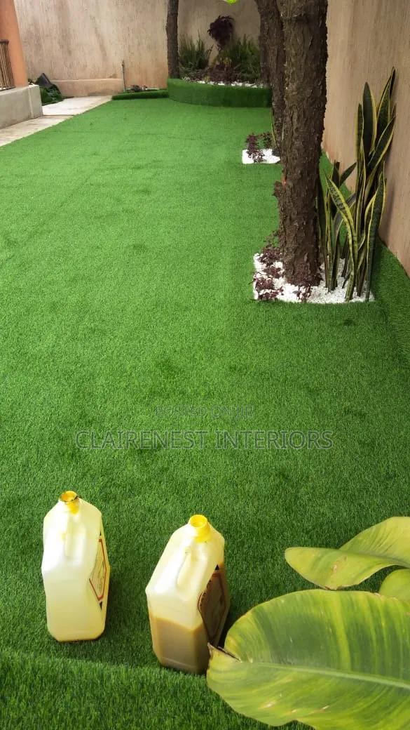 Backdoor, Shinny, Evergreen Artificial Grass Carpet - main view