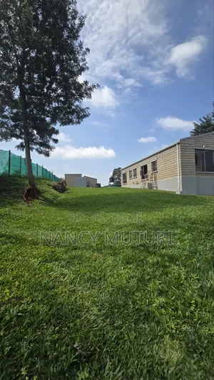 3bdrm Bungalow in Tigoni for rent