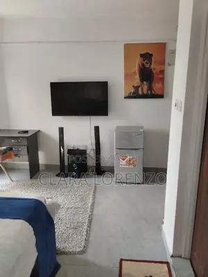 Furnished 1bdrm Bedsitter in Diamond Apartment, Clay City for rent