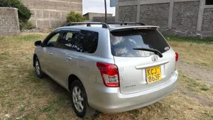 Toyota Corolla Fielder 2009 Silver