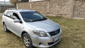 Toyota Corolla Fielder 2009 Silver