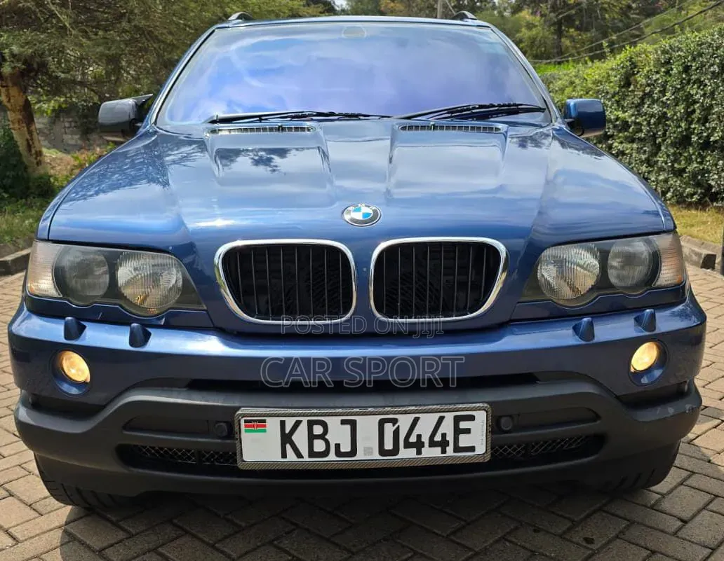BMW X5 2005 Blue