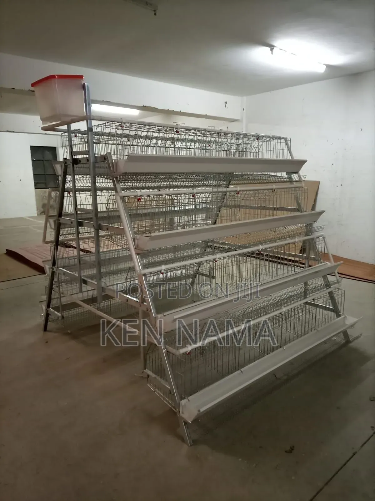 Chicken Cage