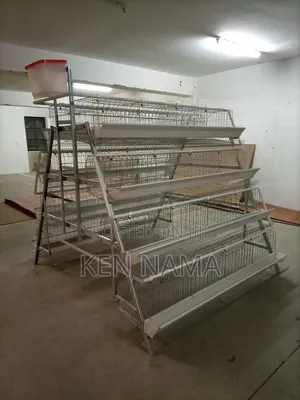 Chicken Cage