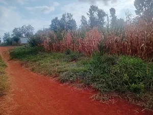 Embu Muthatari 50*100