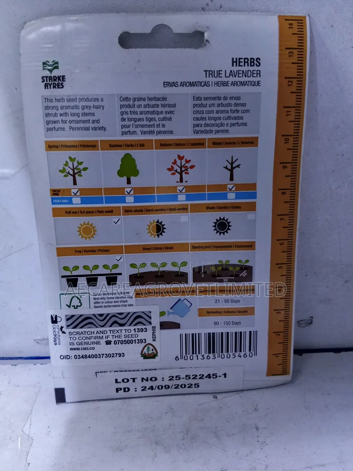 True Lavender Herbs Seeds 1gram Starke Ayres