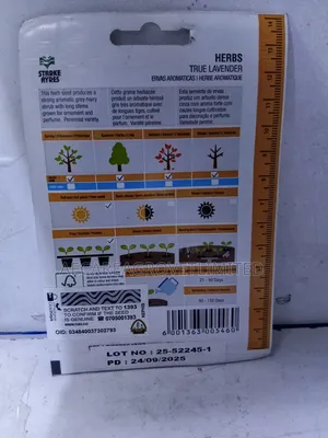 True Lavender Herbs Seeds 1gram Starke Ayres