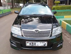 Toyota Corolla Fielder 2006 Black