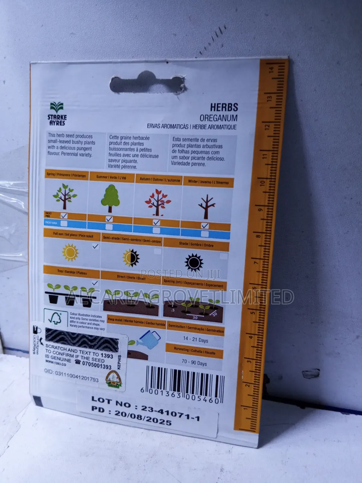 Oreganum Herb Seeds 0.25g Starke Ayres