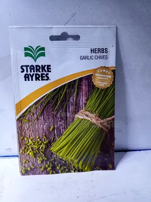 Garlic Chives Herb Seeds 0.7g Starke Ayres