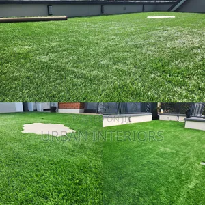 Green Grass Carpet Green Grass Carpet for Home Interiors