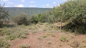 Two Acres of Land for Lease