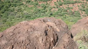 Two Acres of Land for Lease