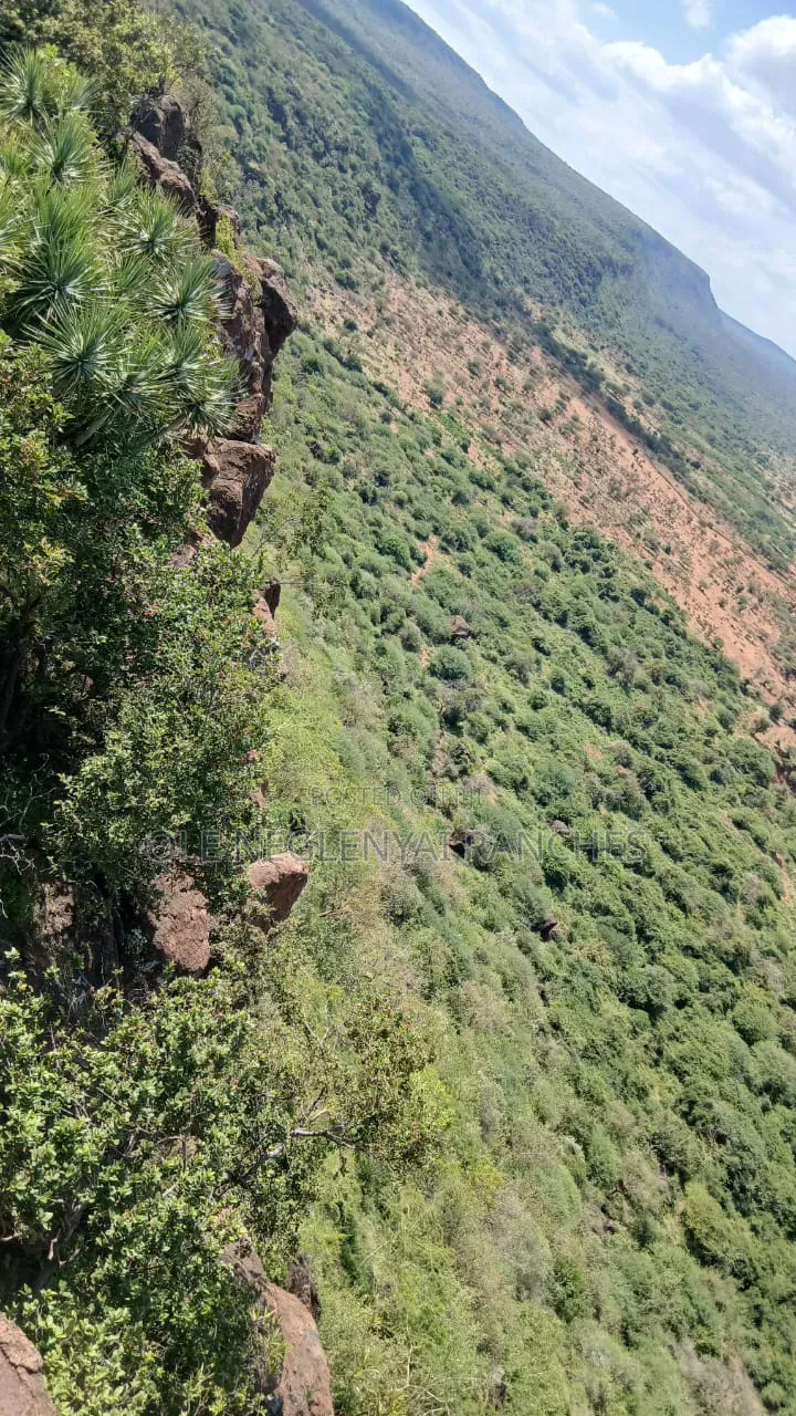 Two Acres of Land for Lease