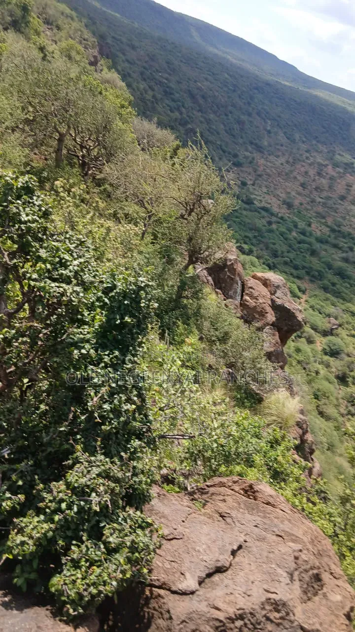 Two Acres of Land for Lease
