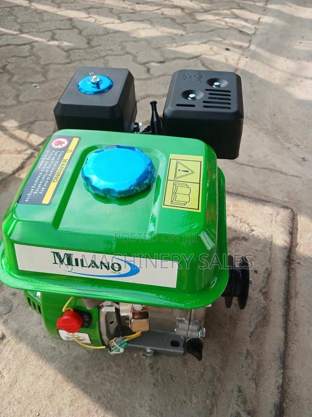 Milana 8hp Engine - main view