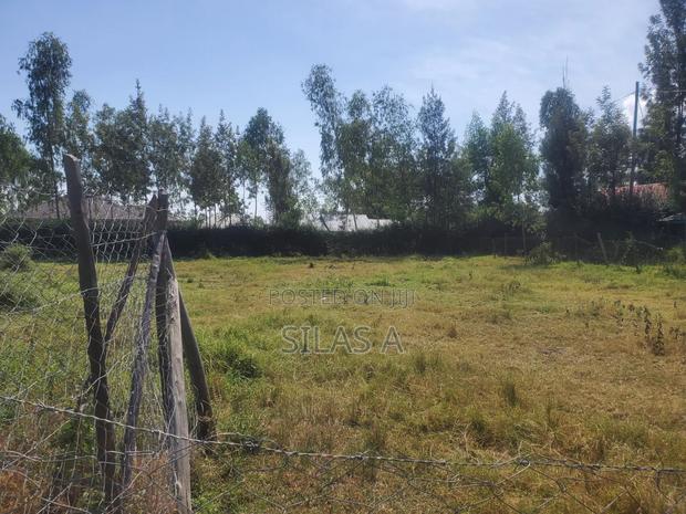 Residential Plot