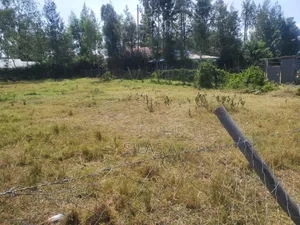 Residential Plot