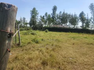 Residential Plot