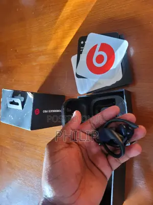 Beats Powerbeats Pro Wireless Earbuds Original, Excellent Condition