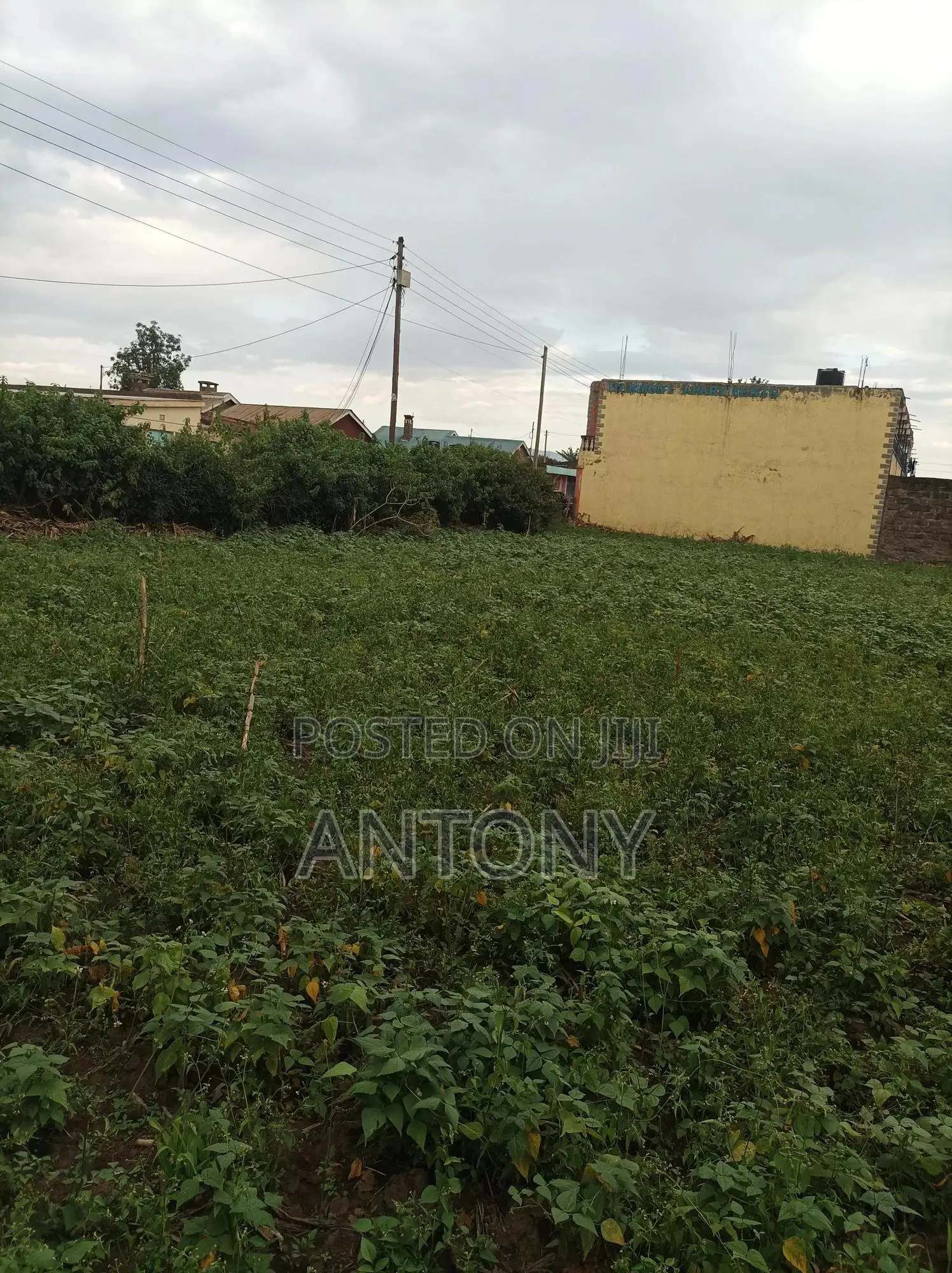 Plot for Sale 1/4 Acre (40m*20m)