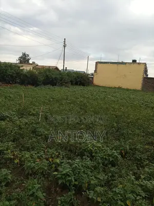 Plot for Sale 1/4 Acre (40m*20m)