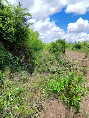 Own 45 Acres With Ready Tittle Deed at Only 5,535,000