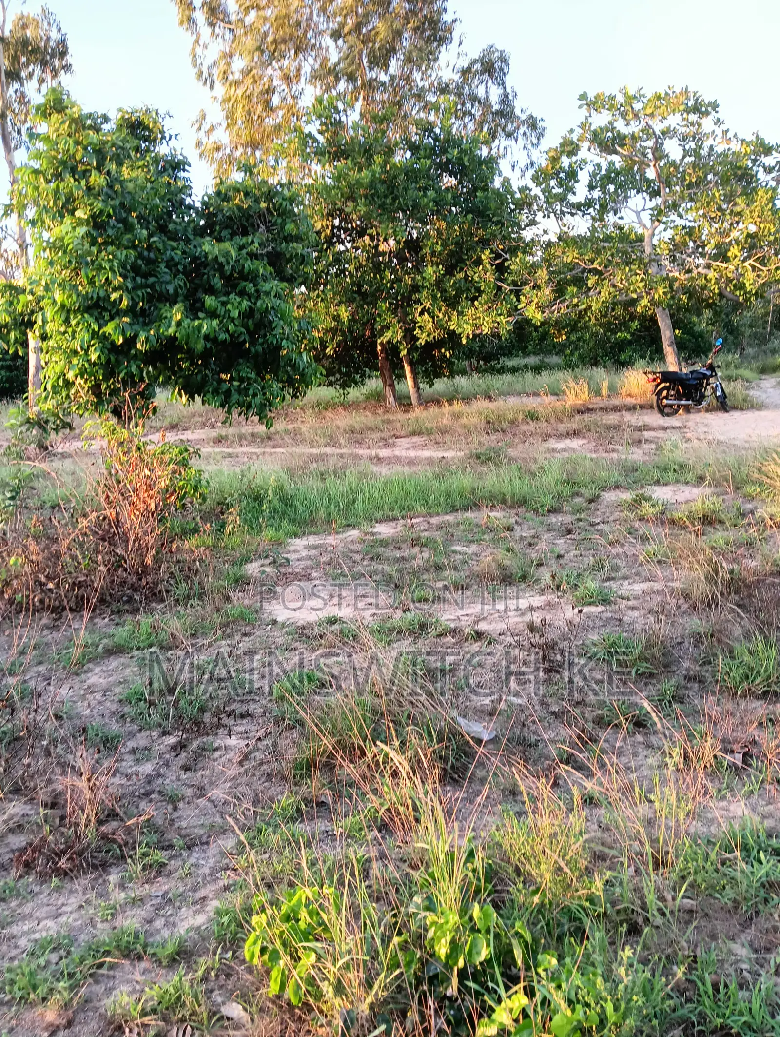 Half an Acre With Adjudication Number 50 Meters From Tarmac Road