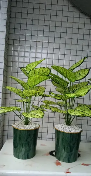Artificial Flower Plants