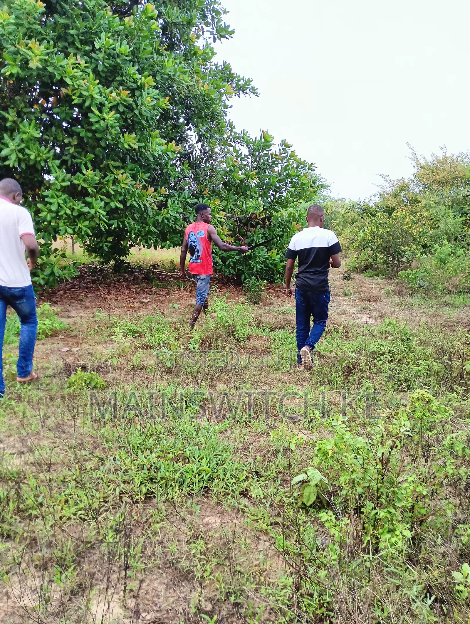 4 Acres 50 Meters From Tarmac Road With Adjudication Number