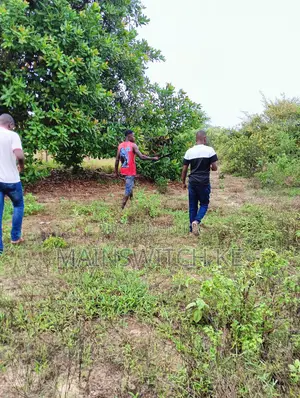 4 Acres 50 Meters From Tarmac Road With Adjudication Number
