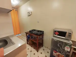 Spacious Studio