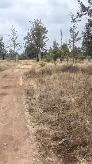 1/8 Acre Plots for Apartments/Highrise