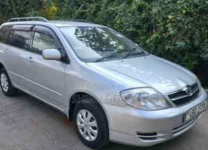 Toyota Corolla Fielder 2004 Silver