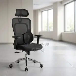Office Chair; Executive Orthopedic Mesh Office Chair