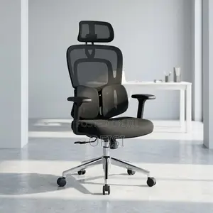 Office Chair; Executive Orthopedic Mesh Office Chair