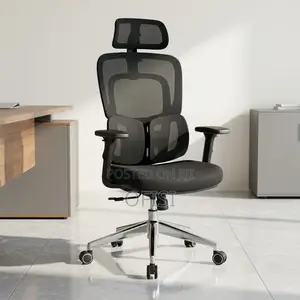 Office Chair; Executive Orthopedic Mesh Office Chair