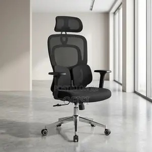 Office Chair; Executive Orthopedic Mesh Office Chair