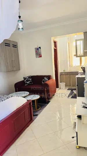 Airbnbs Meru