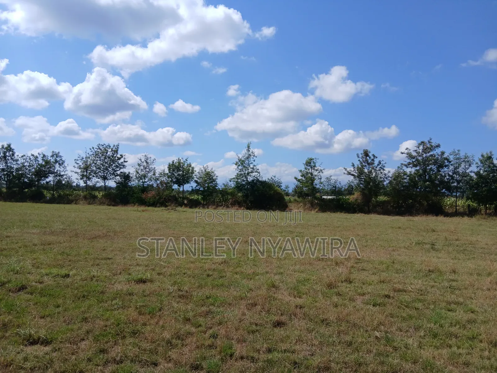 3 Acreas Nanyuki Behind Airstrip Distress Sale