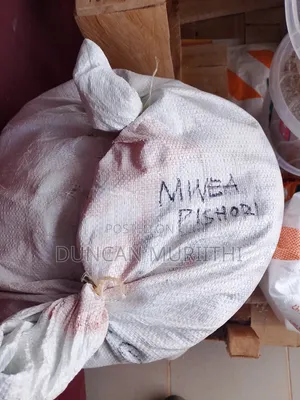 Mwea Pishori Rice Grade 1