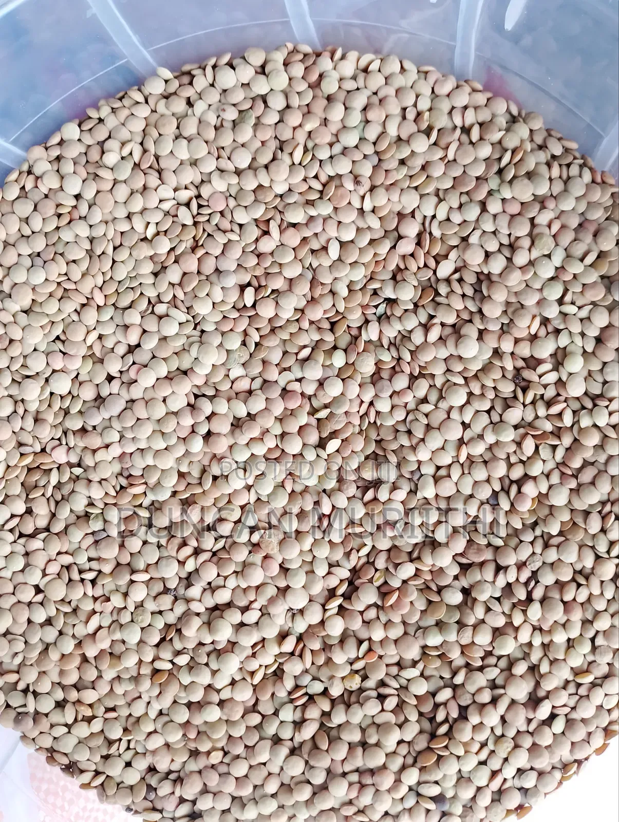 Lentils (Kamande)