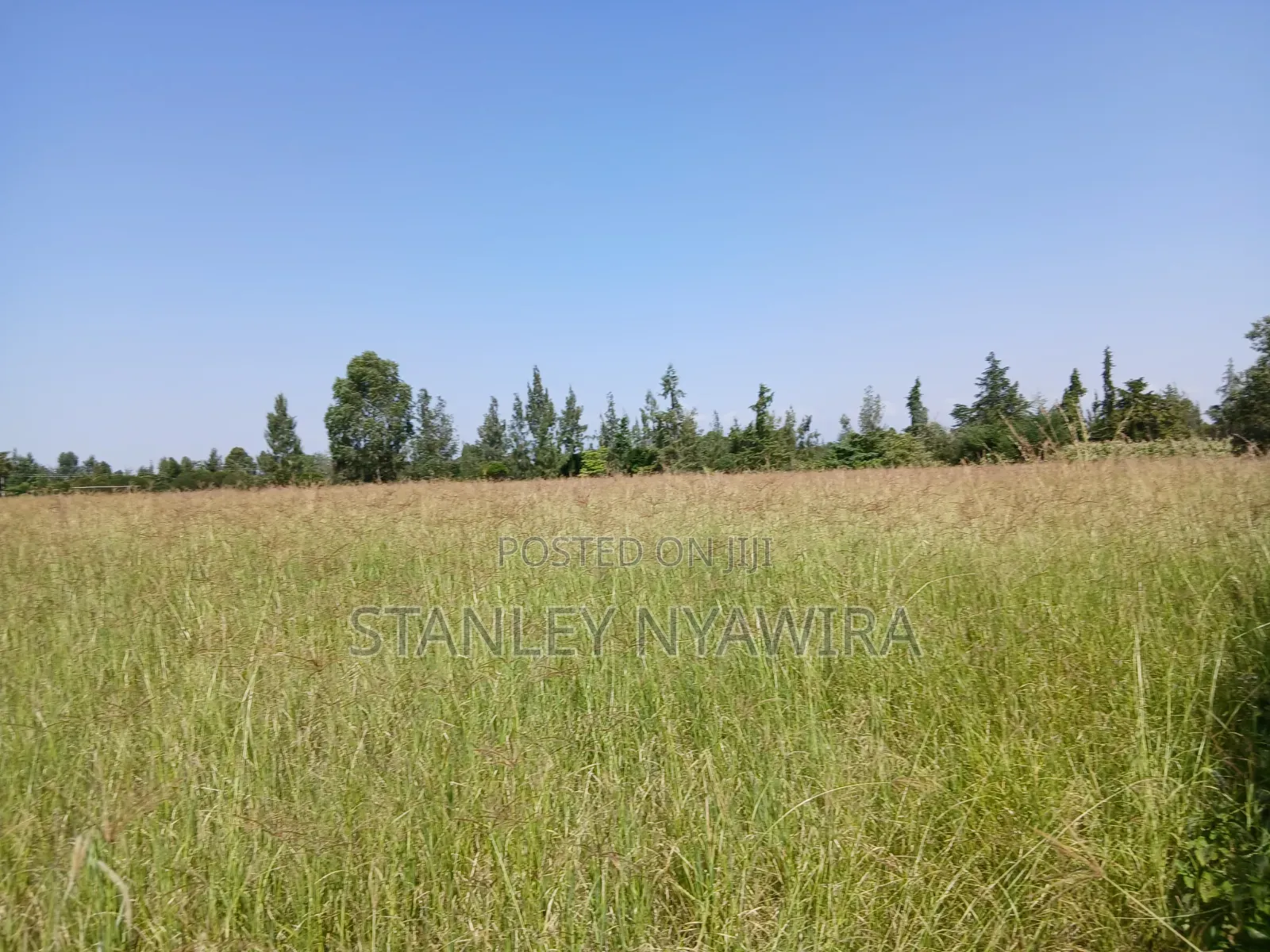 2 Acreas Behind Nanyuki Airstrip