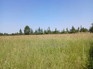 2 Acreas Behind Nanyuki Airstrip