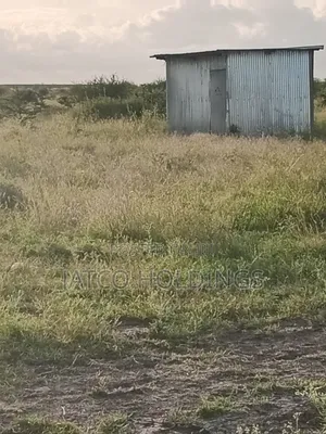 Mombasa Road Turffom