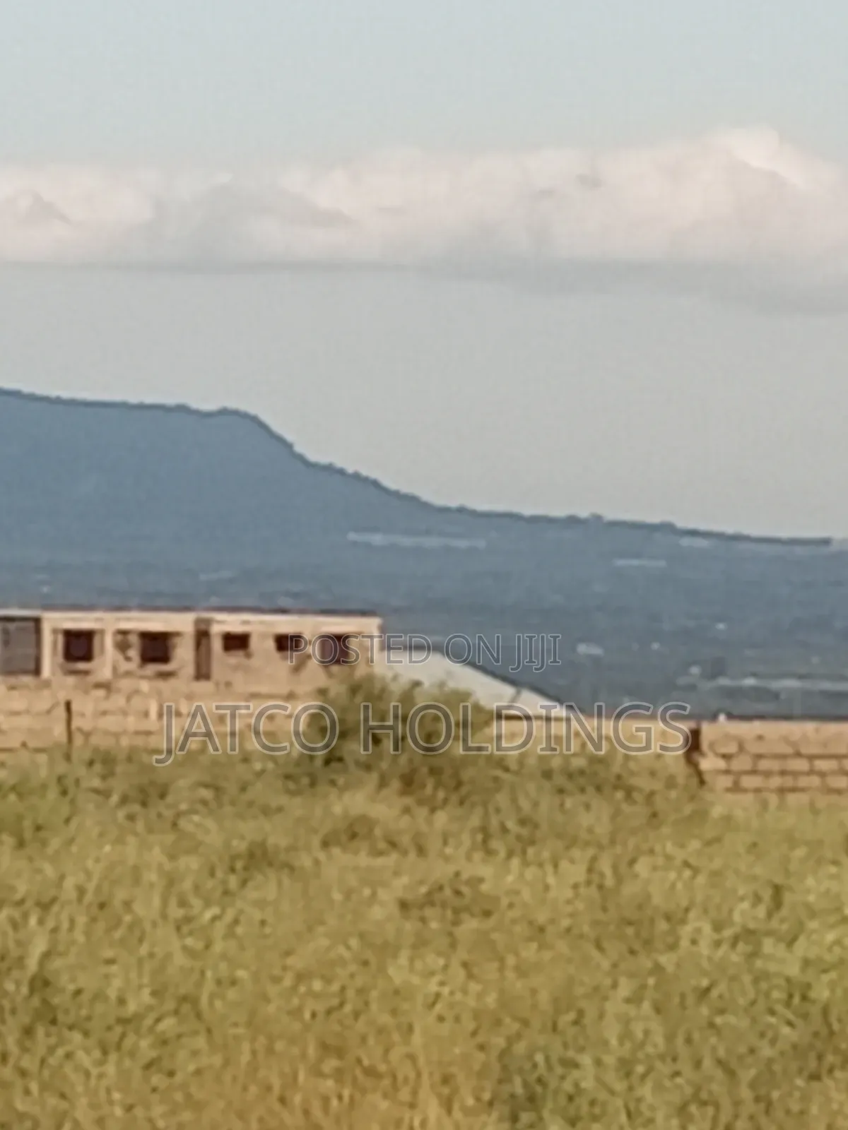 Mombasa Road Turffom